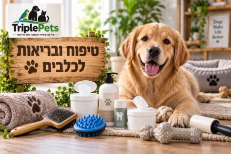 מוצרי טיפוח לכלבים