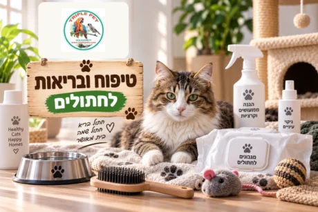 טיפוח ובריאות לחתולים