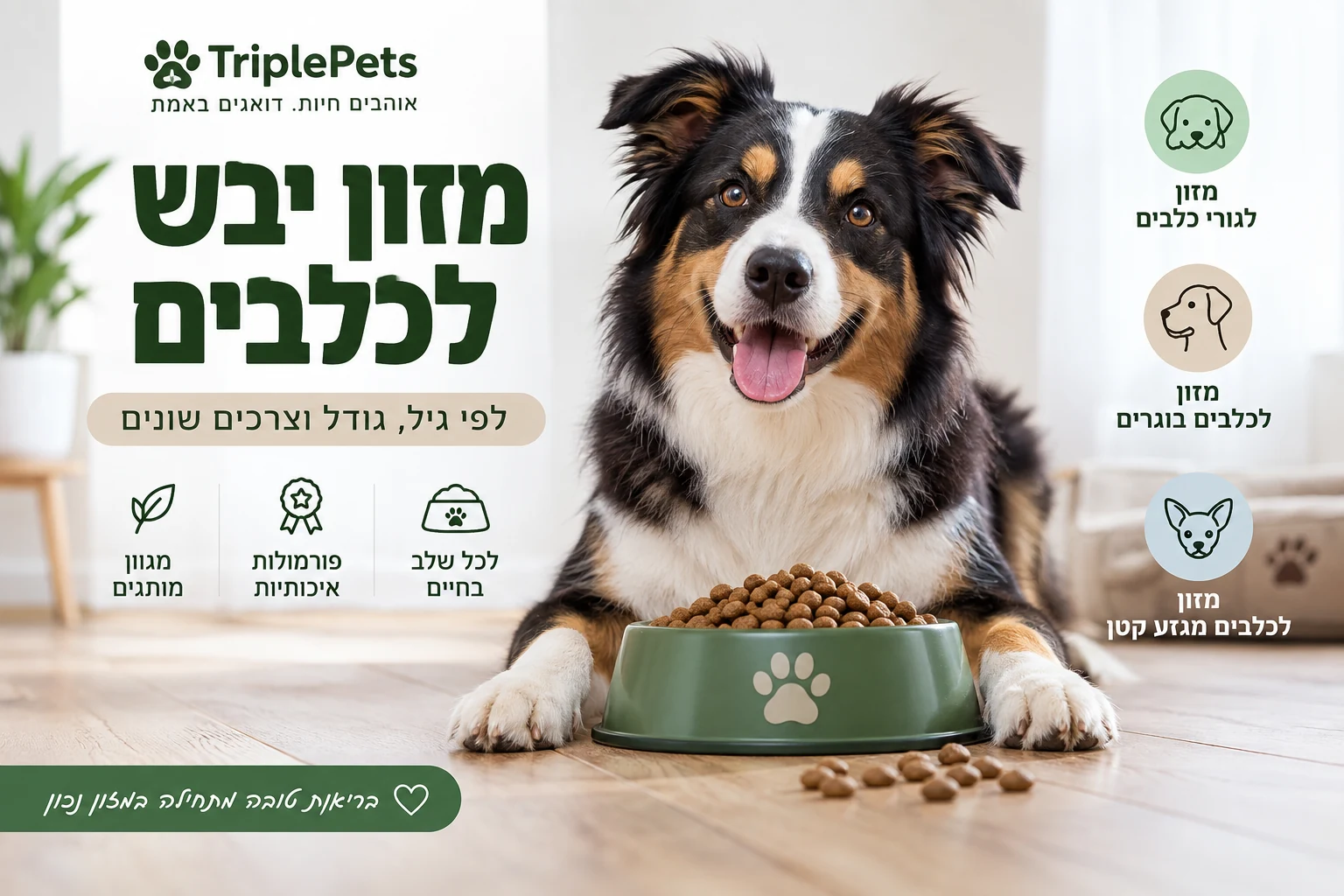 מזון יבש לכלבים
