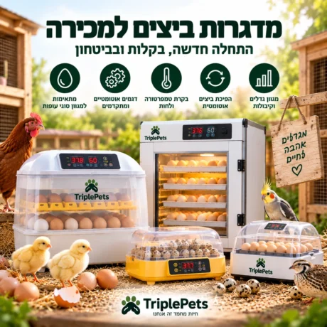 מדגרות למכירה