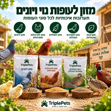 מזון לעופות נוי ויונים