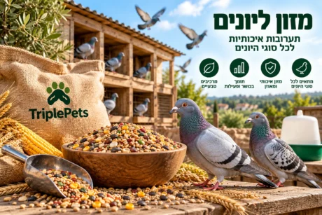 מזון ליונים