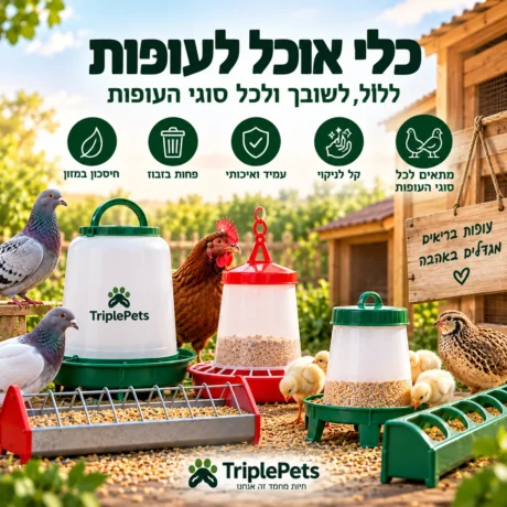כלי אוכל לעופות