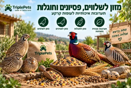 מזון לשלווים, פסיונים וחוגלות