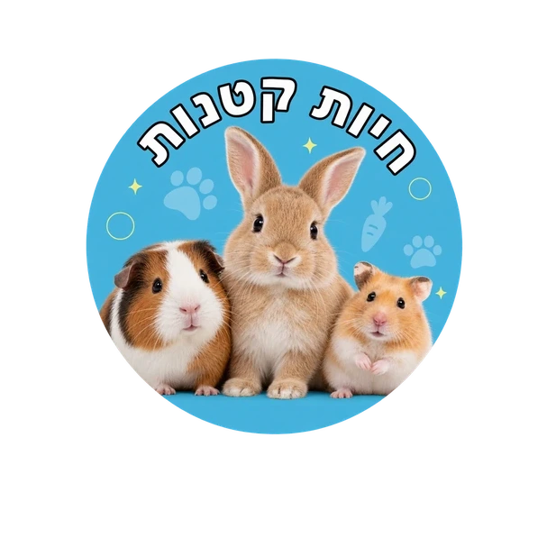 קטגוריית ארנבים ומכרסמים