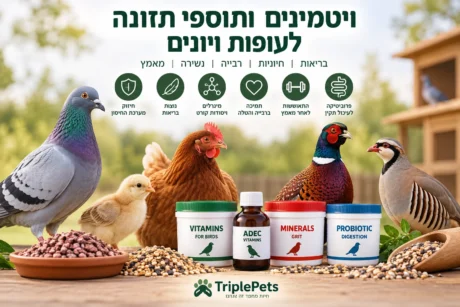 ויטמינים ותוספי תזונה לעופות ויונים