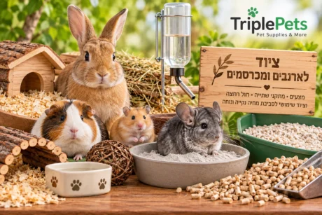 ציוד לארנבים ומכרסמים