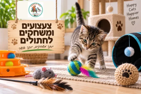 צעצועים לחתולים ומתקני גירוד