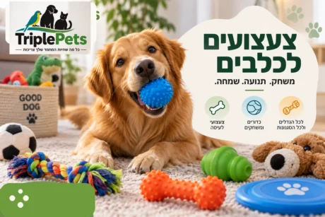צעצועים לכלבים