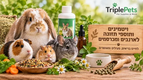 ויטמינים ותוספי תזונה לארנבים ומכרסמים
