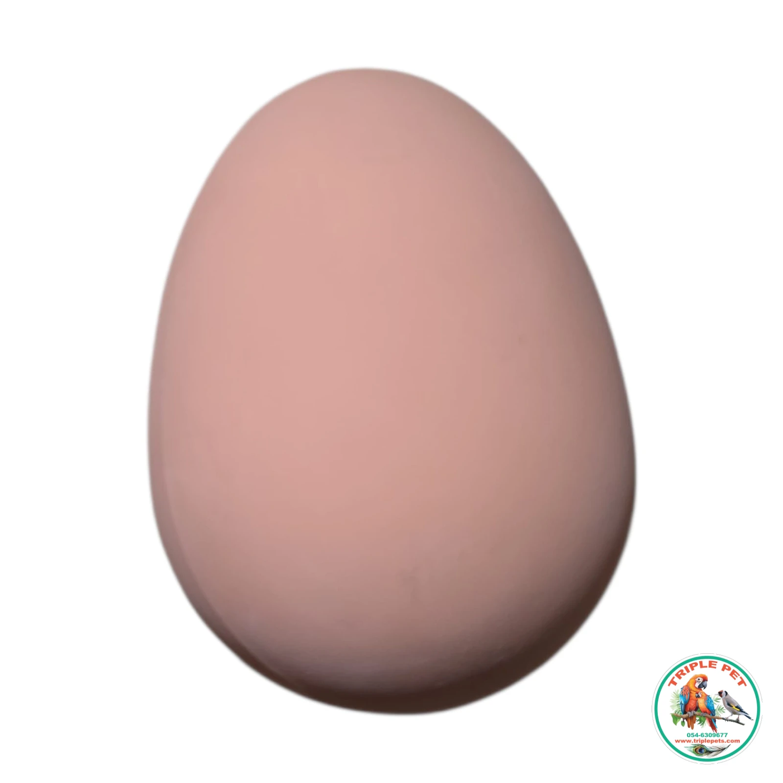 ביצי דמה לתרנגולות – ביצת גומי לתא הטלה